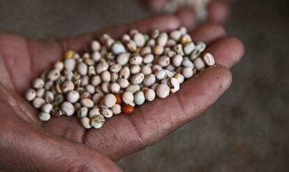 Una mujer de India muestra el producto de su huerta.