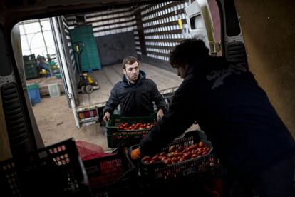 João (centro) y Hugo (derecha) cargan algunos productos en la furgoneta. Desde su creación hace ya cuatro años, el proyecto Fruta Fea ha salvado casi 850 toneladas de alimentos.