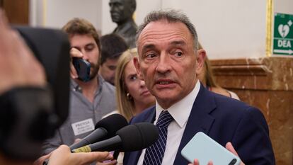 El portavoz parlamentario de IU y diputado de Sumar, Enrique Santiago, durante una sesión plenaria el 17 de septiembre de 2024 en Madrid.