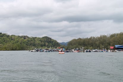 Desde 2007, el estuario del río Kilim se ha llenado de embarcaciones turísticas que alteran el medio ambiente.