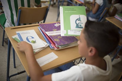 Un escolar con los libros de texto.