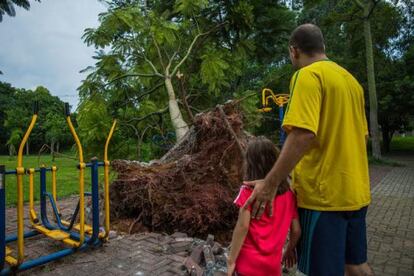 Pai e filha observam uma árvore caída na zona oeste.