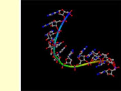 Estructura cristalina de un ARN del virus del sida llamado RRE, de interés farmacológico. A la derecha, representación de otro ARN.