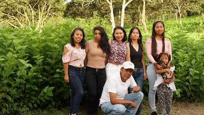 Artesanas frente a la morera, cultivo con el que alimentan a los gusanos de seda.