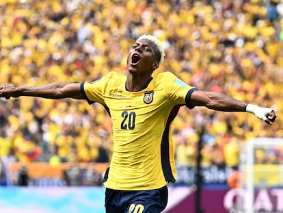 Selección de fútbol de Ecuador