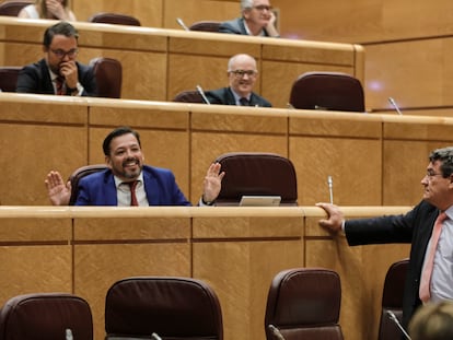 El senador del PP David Erguido levanta las manos ante el ministro José Luis Escrivá, en un pleno de la Cámara alta.