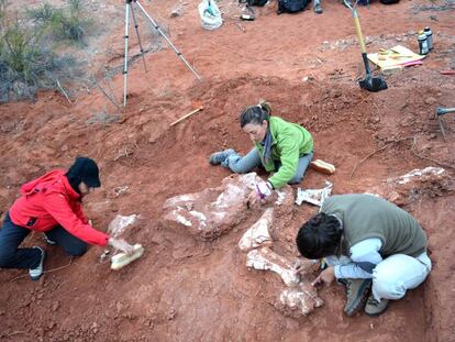 La Dra. Cecilia Apaldetti (derecha) con investigadoras del Museo de Ciencias Naturales (IMCN-UNSJ) en la extracción del dinosaurio
 'Ingentia Prima' en los Niveles Triásicos de Balde de Leyes, Provincia  de  San Juan, Argentina.