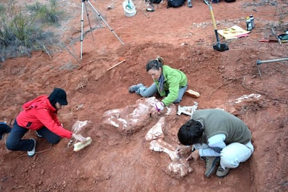 La Dra. Cecilia Apaldetti (derecha) con investigadoras del Museo de Ciencias Naturales (IMCN-UNSJ) en la extracción del dinosaurio
 'Ingentia Prima' en los Niveles Triásicos de Balde de Leyes, Provincia  de  San Juan, Argentina.