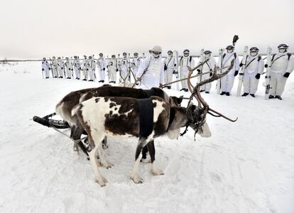 Un grupo de militares rusos de la brigada de infantería de la Flota del Norte del Ártico participan en un simulacro militar cerca del asentamiento de Lovozero (Rusia).