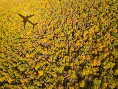 Compensar o tributar: las aerolíneas, en el centro de las discusiones climáticas