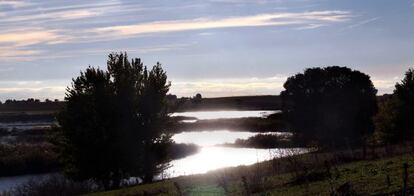 Vistas del recorrido del r&iacute;o Guadiana antes de las Tablas de Daimiel (Ciudad Real). 