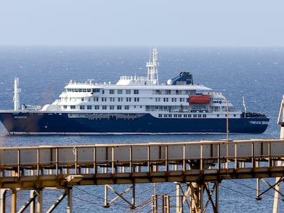 MV Hondius brote hantavirus