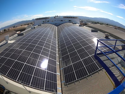 Murcia. 12/11/2021. Inauguración de la instalación fotovoltaica ejecutada por EDP en la sede central de DMF Logística. Disfrimur.
Foto: Daniel Mora/EDP