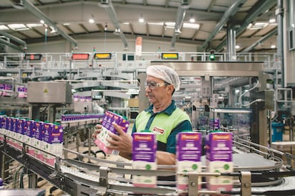 Un trabajador organiza los envases de leche Pascual en la fábrica de Aranda de Duero (Burgos).