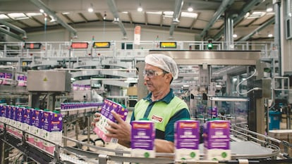 Un trabajador organiza los envases de leche Pascual en la fábrica de Aranda de Duero (Burgos).