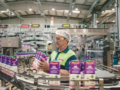 Un trabajador organiza los envases de leche Pascual en la fábrica de Aranda de Duero (Burgos).