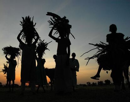 2012 Kenia. Una de las muchas tareas de las que se encargan las mujeres desplazadas por el conflicto en Darfur es la recogida de leña. Mucho se debate sobre el asunto: el problema de la deforestación, la competencia por los recursos locales con la población residente, los largos desplazamientos y el peligro de los asaltos y violaciones que sufrían las mujeres. Curiosamente, también es uno de los pocos momentos que ellas pueden disfrutar para reunirse y charlar.