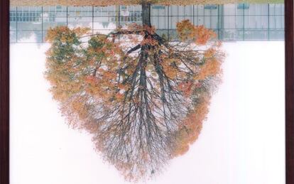 Obra de Rodney Graham, en la Fundación Godia.