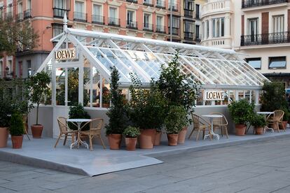 El invernadero acaba de abrir sus puertas en la madrileña plaza de Callao.