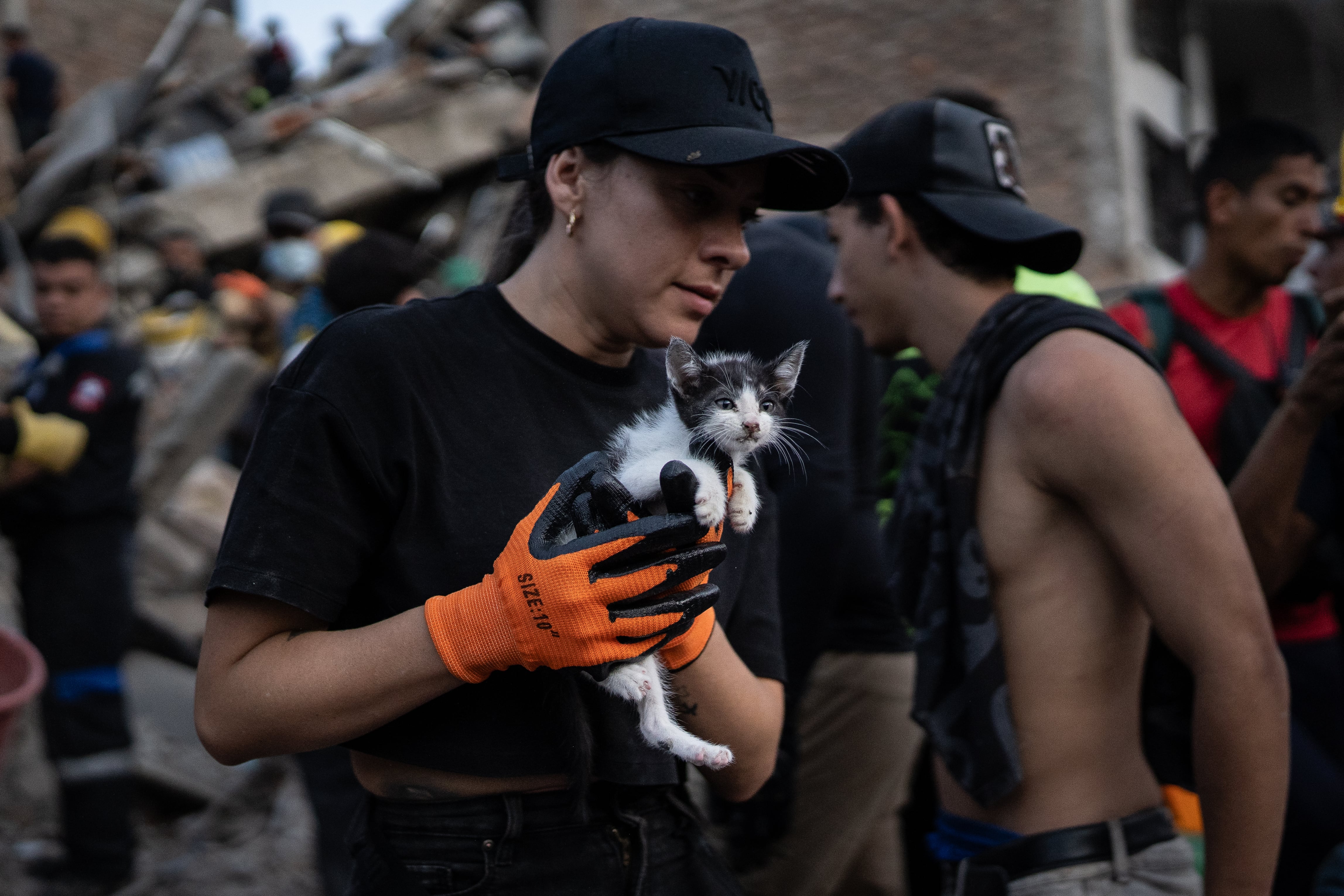 Cientos de colombianos aún buscan a sus gatos y perros entre los escombros del terremoto: “La encontré tendida del otro lado del edificio, entre los escombros”