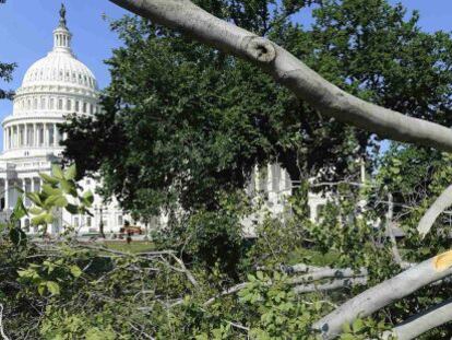 &Aacute;rboles abatidos por la tormenta cerca del Capitolio.