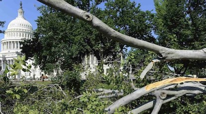 &Aacute;rboles abatidos por la tormenta cerca del Capitolio.