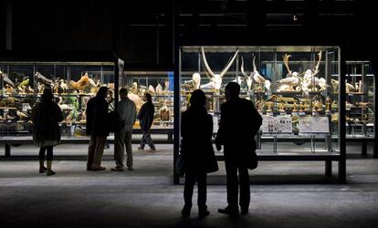 El Museo de Ciencias Naturales de Barcelona, el que más visitan los barceloneses.