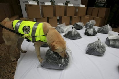 La perra policía 'Mona' con el cargamento de cocaína negra.