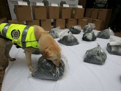 A cadela policial ‘Mona’ com o carregamento de cocaína preta.