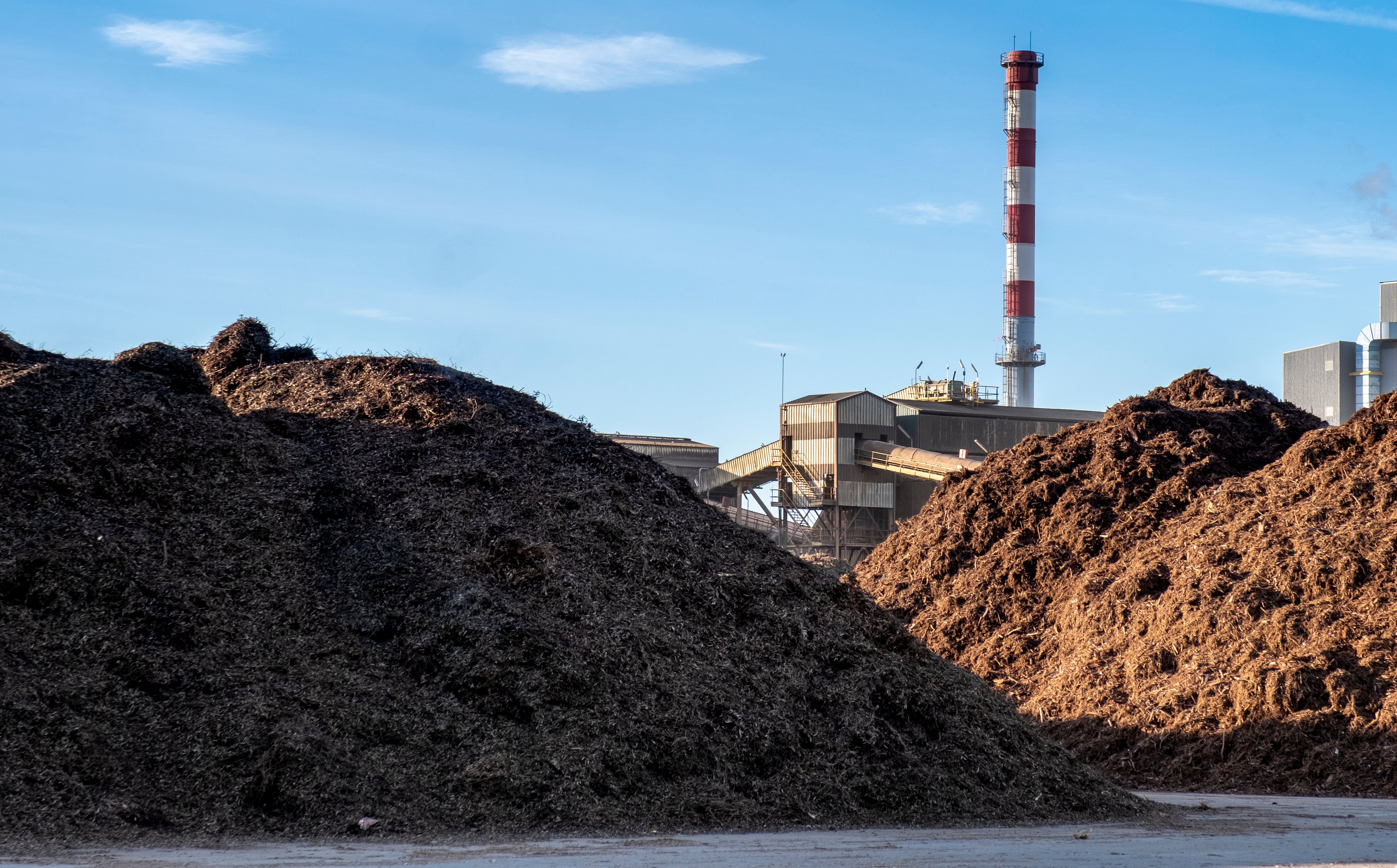 Ence перерабатывает отходы и создает рабочие места