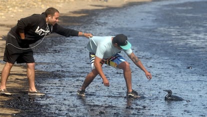 Dos hombres tratan de rescatar a u pájaro cubierto de petróleo en la orilla de la playa de Refugio, Santa Bárbara, mientras continuaban las tareas de limpieza el miércoles. Tres barcos tratan de recoger el petróleo desde el mar.