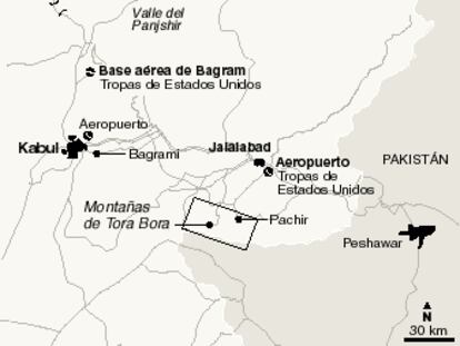 gráfico