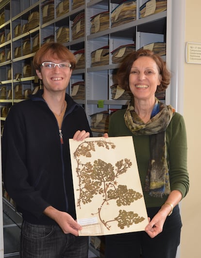 The biologist Guillaume Chomicki and the botanist Susanne Renner holding a preserved watermelon plant at the herbarium of the Munich botanical garden.