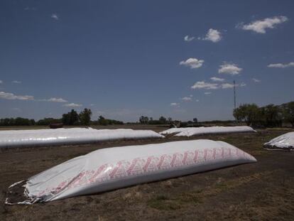 Los &#039;silos bolsa&#039; guardan granos de soja en un campo de Chivilcoy, a 153 kil&oacute;metros de Buenos Aires.