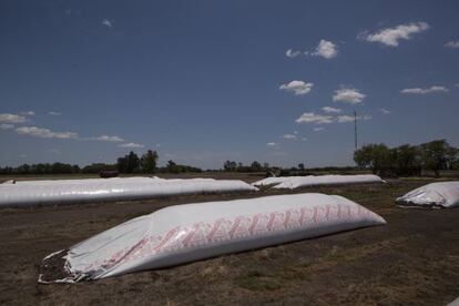 Los 'silos bolsa' guardan granos de soja en un campo de Chivilcoy, a 153 kilómetros de Buenos Aires.