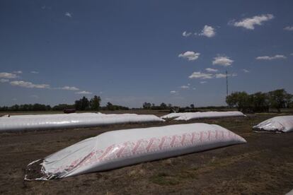 Los &#039;silos bolsa&#039; guardan granos de soja en un campo de Chivilcoy, a 153 kil&oacute;metros de Buenos Aires.