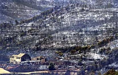 Desolado paisaje en Granera tras el incendio.