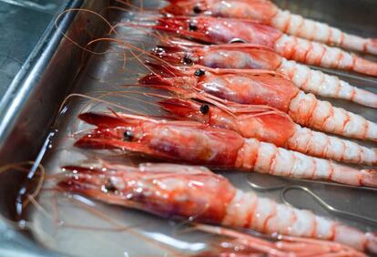 Gambas rojas utilizadas en el último concurso internacional de cocina creativa de Dénia.