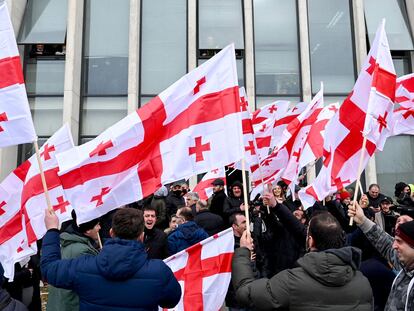 Un grupo de manifestantes protesta contra el Gobierno de Georgia y en apoyo al líder opositor Melia tras la dimisión del primer ministro, este jueves en Tbilisi.