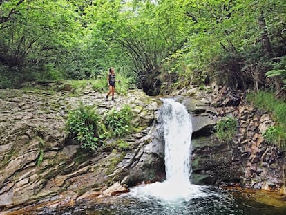 Cascada y poza del río Infierno, en Asturias.