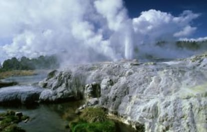 Géiser Pohutu, en la región termal de Whararewarewa (Nueva Zelanda).