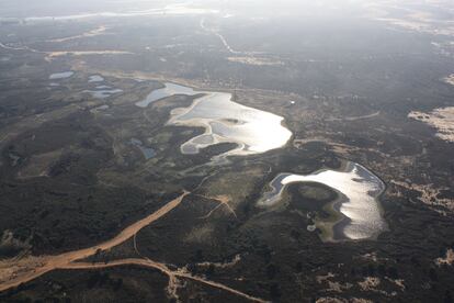 Vista aérea de la laguna de Santa Olalla, este lunes. ICTS/ Estación Biológica de Doñana