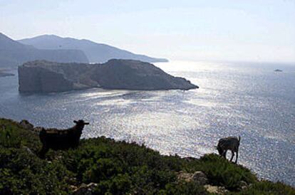 Imagen de la isla Perejil tomada ayer. Al fondo, a la derecha, un buque de guerra.