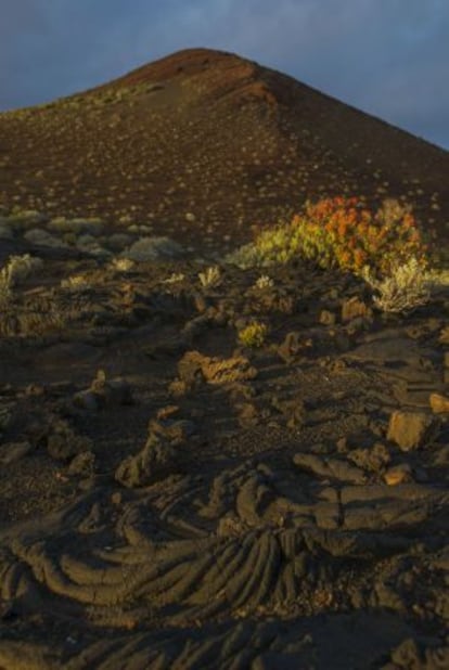 Ríos de lava solidificada en El Hierro.