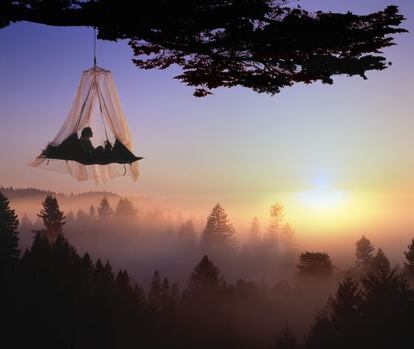 Una persona practicando 'tree camping'.