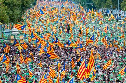 El tramo verde de la manifestación que representa la diversidad en la futura república catalana en la que "se respetará y garantizará la diversidad de las personas y de los colectivos", según explica la ANC.