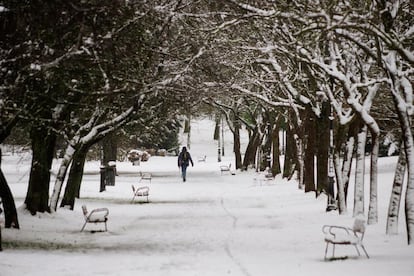 Una persona camina sobre la nieve en un parque en Vitoria este sábado.