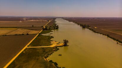 Una imagen aérea de Isla Mayor (Sevilla).