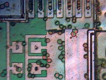Fotografía del microrobot con glóbulos rojos encima (círculos), a modo de comparación.