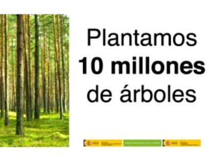 PRISA se suma al proyecto ‘El árbol es vida’ para plantar 10 millones de árboles
